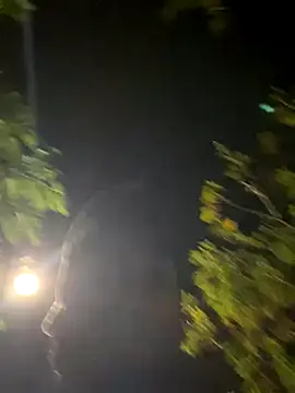 Dasul  online show from 2, 11, 2025