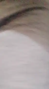 patrona sexooo online show from 9, 3, 2025