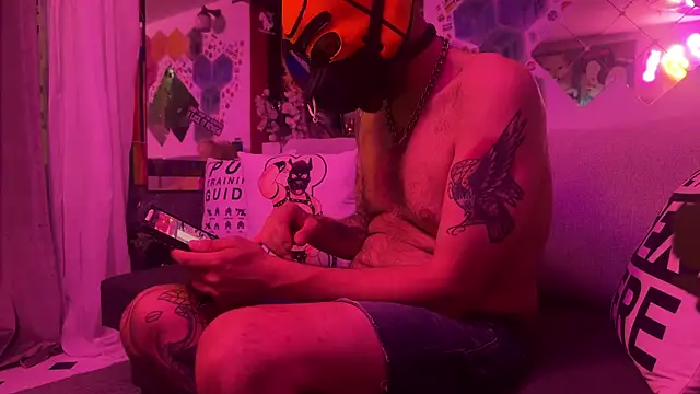 danix wild wolf online show from 2, 6, 2026