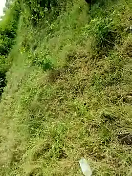 himvilohi08 online show from 6, 10, 2025