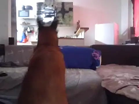 Snapshot of ThePython666 chatting on 27, 3, 2026 ThePython666 online show from 27, 3, 2026