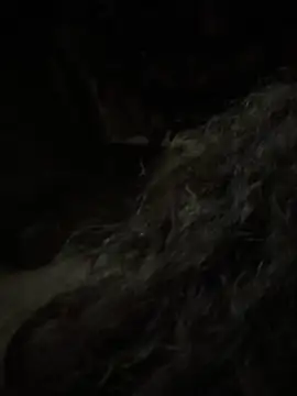 aa520uv online show from 5, 2, 2026