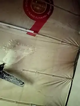 adrija94 online show from 22, 11, 2025