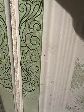 Snapshot of dilu98 chatting on 18, 3, 2025 dilu98 online show from 18, 3, 2025