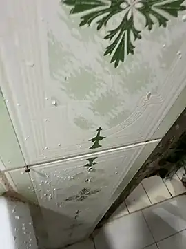 dilu98 online show from 18, 12, 2025