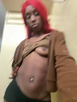 msvelvet20 online show from 28, 3, 2026