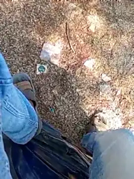 A-1PLAYBOY0 online show from 13, 1, 2026