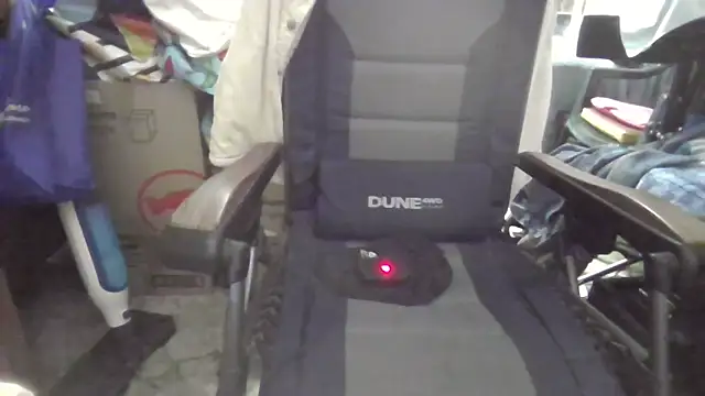 Lovyourpuss online show from 17, 4, 2026