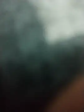 Elonmo online show from 6, 3, 2026