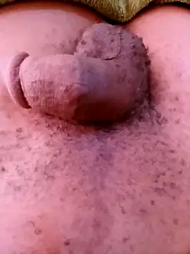 horny1131 online show from 11, 4, 2026