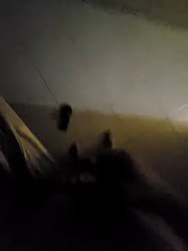 Snapshot of beto_juby777 chatting on 4, 11, 2025 beto juby777 online show from 4, 11, 2025