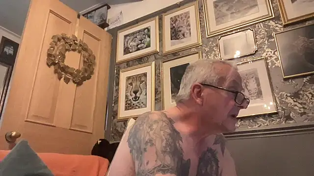 poggles online show from 29, 11, 2025