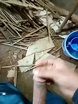 zim200 online show from 20, 11, 2025