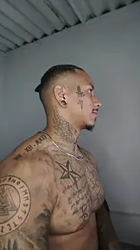Snapshot of David_tatto1 chatting on 17, 5, 2026 David tatto1 online show from 17, 5, 2026