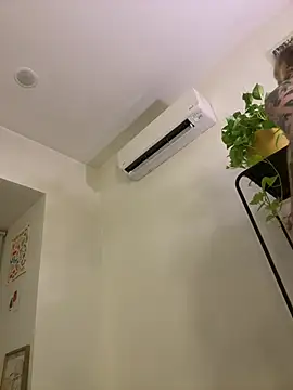 seeunexttuesday online show from 31, 3, 2026