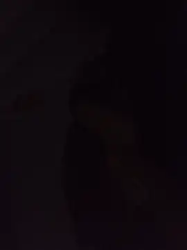 Snapshot of Sexxoophone chatting on 3, 7, 2026 Sexxoophone online show from 3, 7, 2026