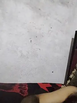 salimbasha online show from 28, 7, 2026