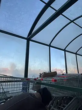 Snapshot of MiraReach chatting on 15, 10, 2025 MiraReach online show from 15, 10, 2025