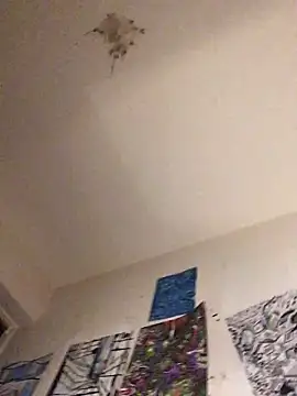 Sissy Cindy Whore online show from 12, 2, 2026