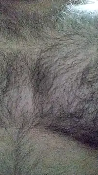 LeoMaduroSP online show from 16, 1, 2026