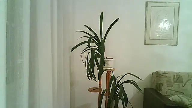 Snapshot of Dartanjanas13 chatting on 28, 11, 2025 Dartanjanas13 online show from 28, 11, 2025