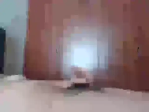 Culazodeantonellarocuzzo online show from 25, 2, 2026