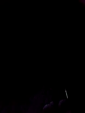 Ridick2025 online show from 19, 11, 2025