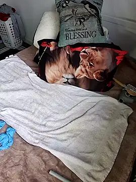 Wilsonn86 online show from 9, 2, 2026