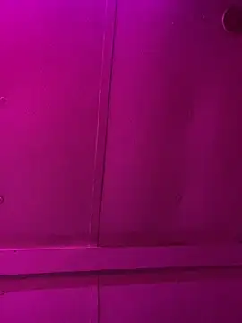 jcwxt online show from 1, 3, 2026