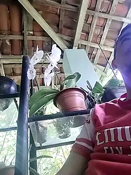 Boragozarvem online show from 7, 10, 2025