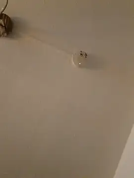 LightskinBumpa online show from 15, 11, 2025