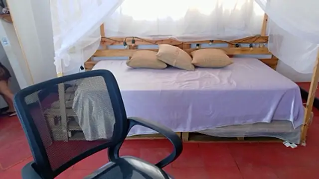 loreaniss online show from 24, 2, 2026