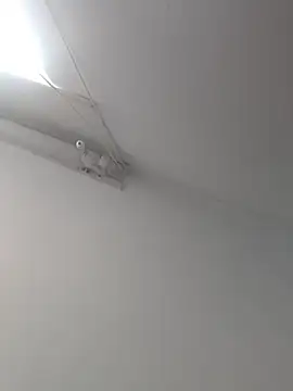 Tattoboy19cm online show from 19, 10, 2025