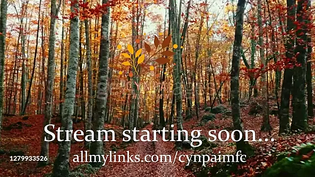 Cynpai online show from 10, 11, 2025