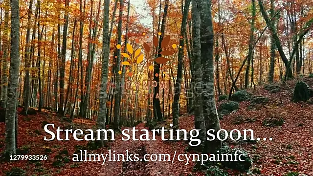 Cynpai online show from 17, 11, 2025