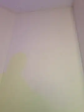 AmaiaSalvatore online show from 11, 10, 2025