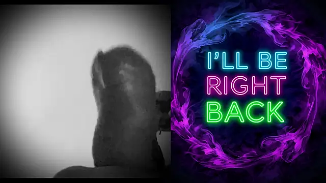 DjDiCKmannOnE online show from 12, 1, 2026