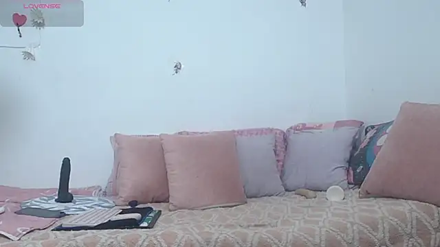 Snapshot of panamared chatting on 11, 10, 2025 panamared online show from 11, 10, 2025