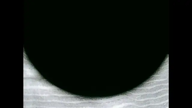 Snapshot of santinini2 chatting on 13, 1, 2026 santinini2 online show from 13, 1, 2026