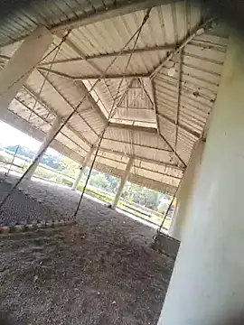 Desi Horny Boys online show from 21, 10, 2025