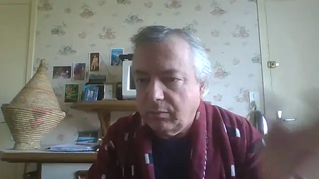 gegevincent online show from 29, 4, 2026