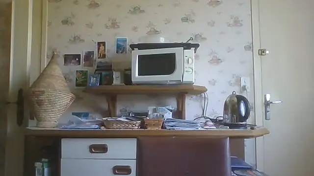Snapshot of gegevincent chatting on 14, 6, 2026 gegevincent online show from 14, 6, 2026