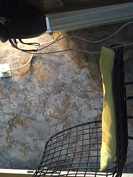 AlevNaz online show from 30, 9, 2025