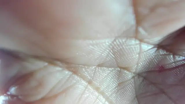 Mindy 19 online show from 18, 12, 2025