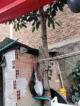 Snapshot of You-sexy-starr chatting on 9, 10, 2025 You-sexy-starr online show from 9, 10, 2025