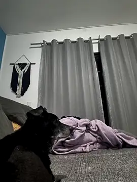 mikeara90 online show from 22, 10, 2025