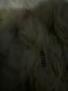 anonimgirl18old online show from 6, 3, 2026