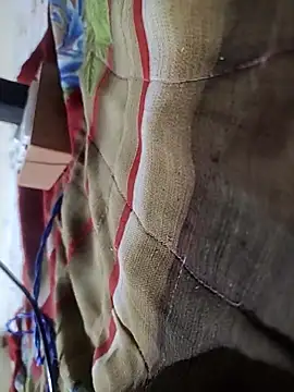 Snapshot of Telugu_person12 chatting on 16, 2, 2026 Telugu person12 online show from 16, 2, 2026