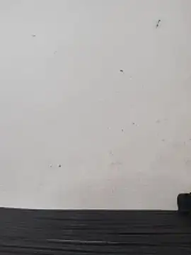 Snapshot of Telugu_person12 chatting on 28, 2, 2026 Telugu person12 online show from 28, 2, 2026