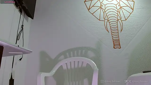 king falconer online show from 21, 2, 2026